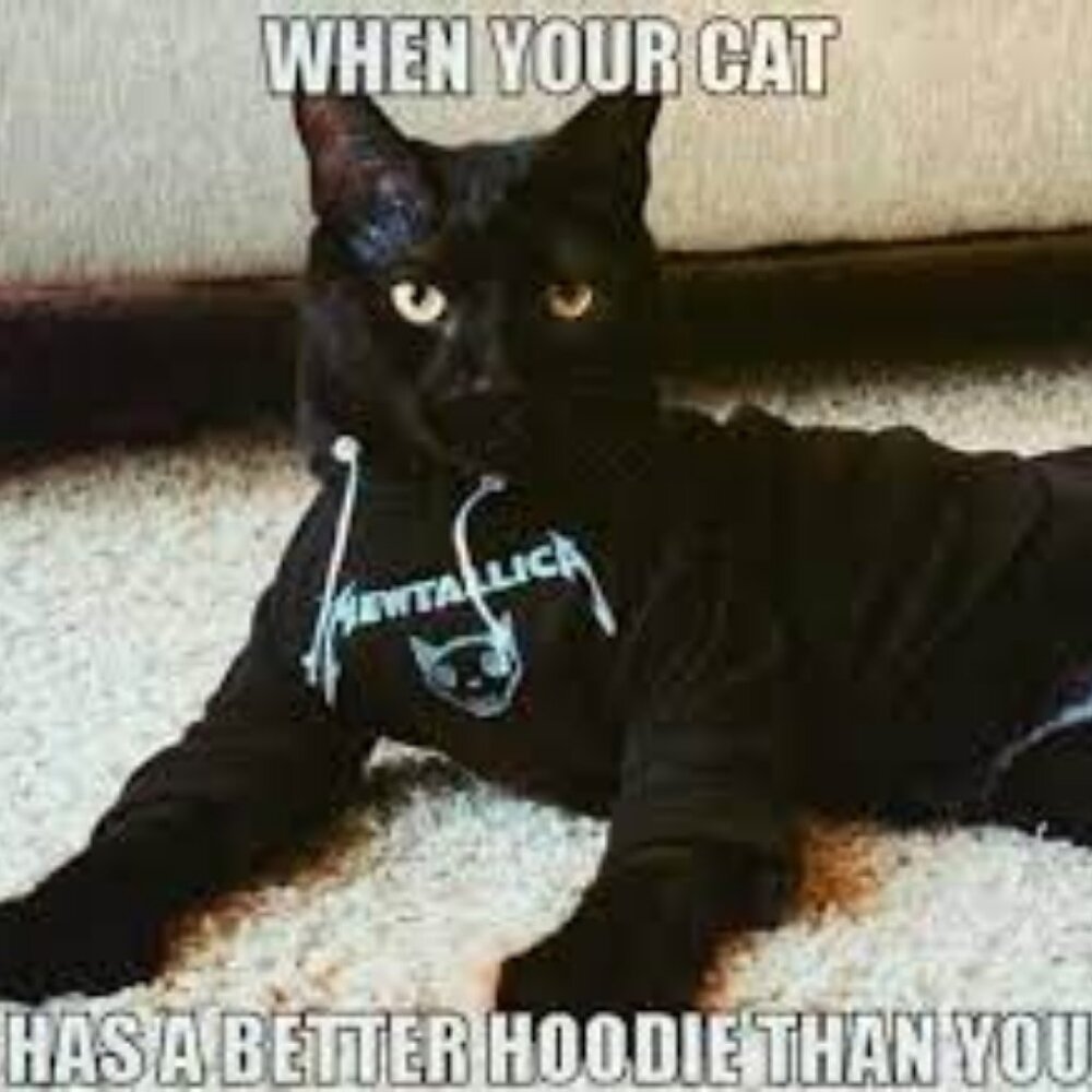 Tops & hoodies